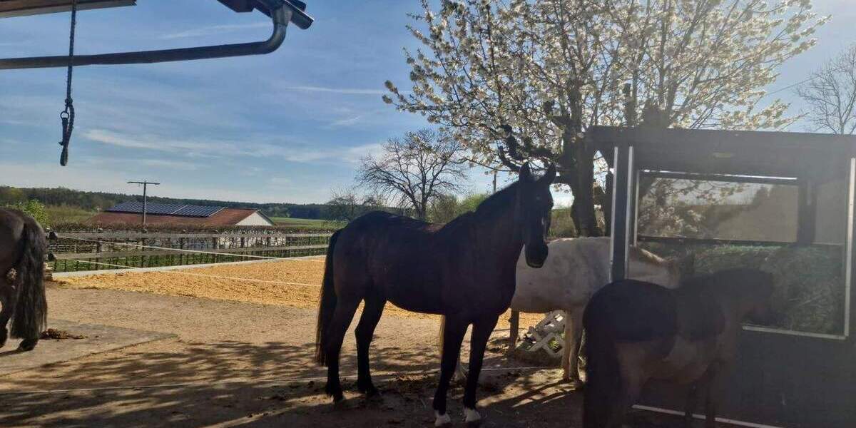 Einfamilienhaus Abensberg Arnhofen - 890.000&euro; | Angebot:25739436