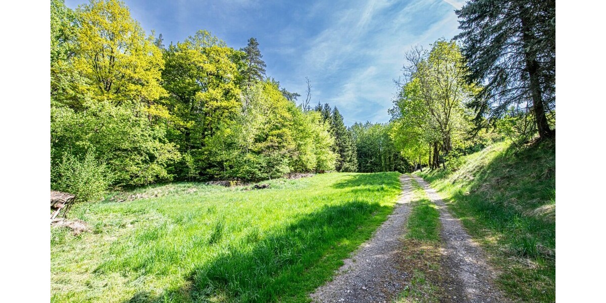 Charmantes Zweifamilienhaus mit großem Grundstück, Waldanteil und viel Potenzial - Zweifamilienhaus Zell | Angebot:26618521