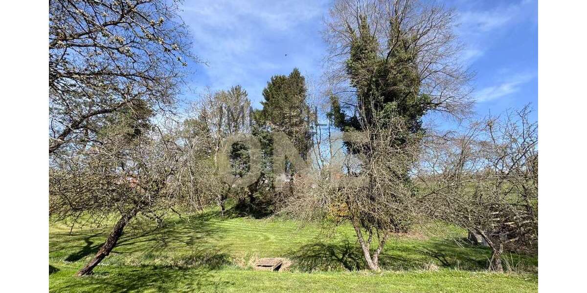 Grundstück Bernhardswald - 250.000&euro; | Angebot:23729294