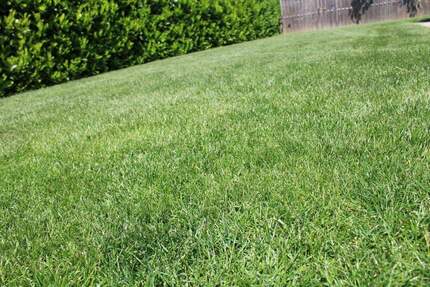 Juwel am Stadtrand zimmer