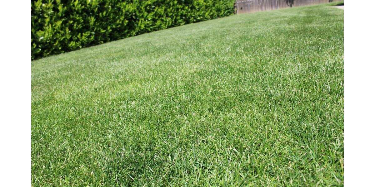 Juwel am Stadtrand zimmer