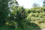 RUHE PUR! NATURPARADIES AM ORTSRAND