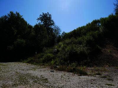 RUHE PUR! NATURPARADIES AM ORTSRAND - Grundstück Regenstauf | Angebot:25537642