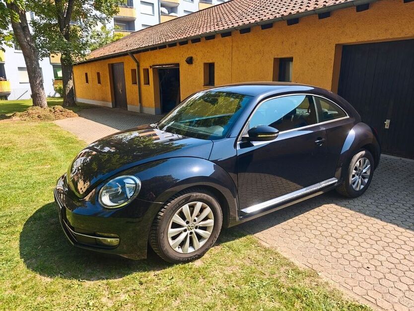 Beetle