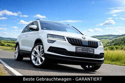 Skoda Karoq 103.600 km 25.444 &euro; Wörth a.d. Donau, bei Regensburg 93086