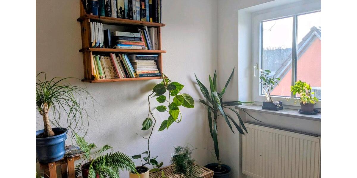 Schöne, helle Dachgeschosswohnung in 93192 Wald 2 zimmer