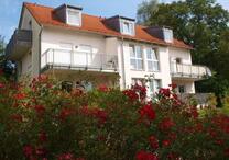 1-Zimmer Appartement