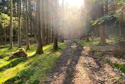 Grundstück Pentling / Matting Matting - 13.500&euro; | Angebot:26278393