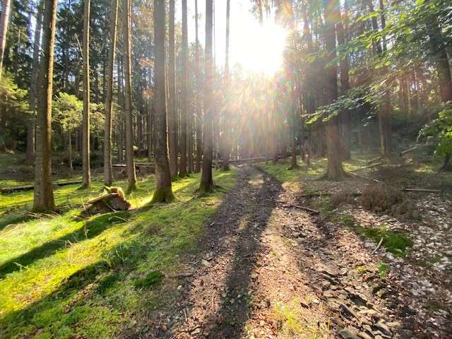 Grundstück Pentling / Matting Matting - 13.500&euro; | Angebot:26278393