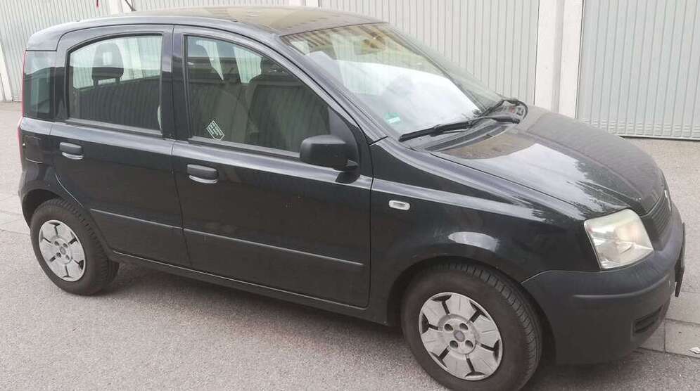 Panda
