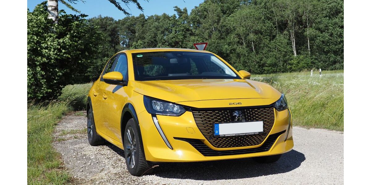 Peugeot e-208 48.798 km 15.500 &euro; Hausen 93345