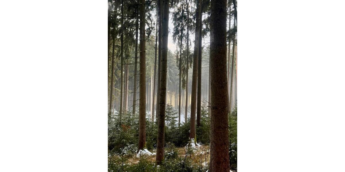 Erdgeschoßwohnung Langquaid - 4 Zimmer, 95 m&sup2;, 1.000&euro; | Angebot:25204923