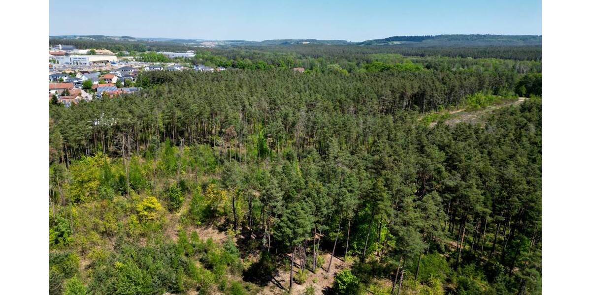 Grundstück Nittenau Bergham - 835.000&euro; | Angebot:26309416