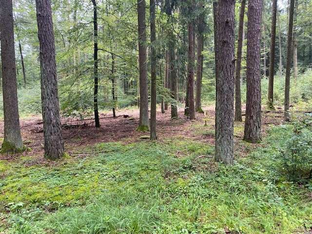 Grundstück in Kelheim Herrnsaal 47.000 € 5200 m²