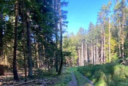 Grundstück in Pentling Matting 92.000 € 15433 m² zimmer