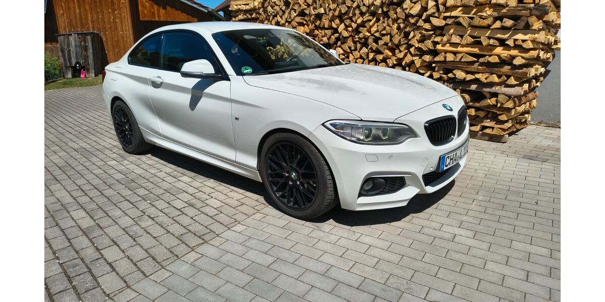 BMW 220 160.000 km 16.500 &euro; Reichenbach 93189