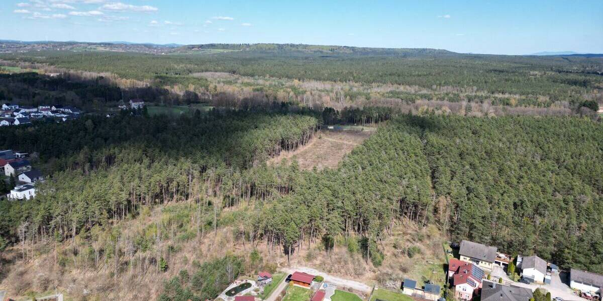 Grundstück Nittenau Bergham - 835.000&euro; | Angebot:26309416