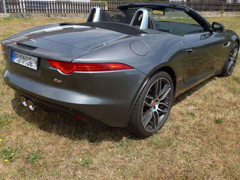 F-Type