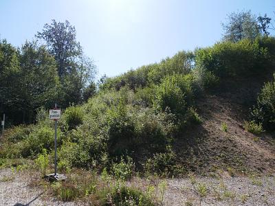 RUHE PUR! NATURPARADIES AM ORTSRAND - Grundstück Regenstauf | Angebot:26055970