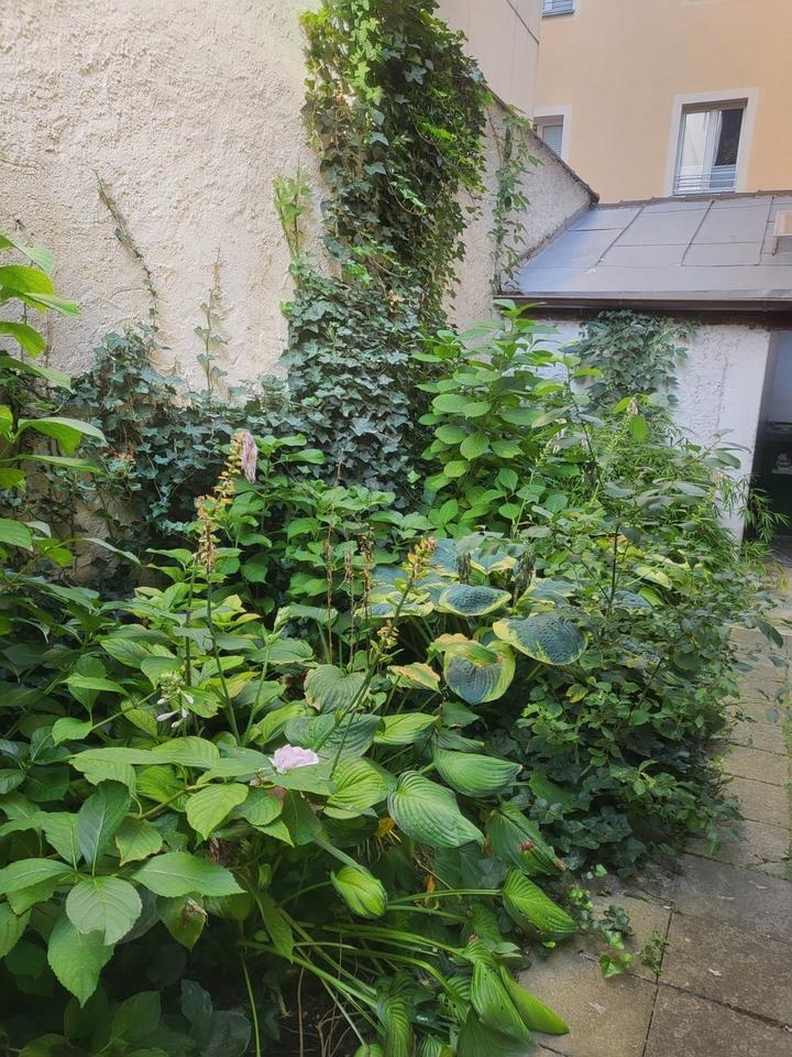 Zwei denkmalgeschützte Wohn- und Geschäftshäuser in der Altstadt