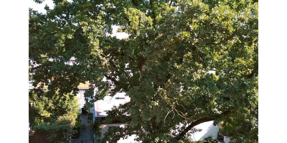 Etagenwohnung Regensburg Galgenberg - 2 Zimmer, 59 m&sup2;, 670&euro; | Angebot:26411255