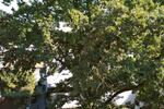Etagenwohnung Regensburg Galgenberg - 2 Zimmer, 59 m&sup2;, 670&euro; | Angebot:26411255