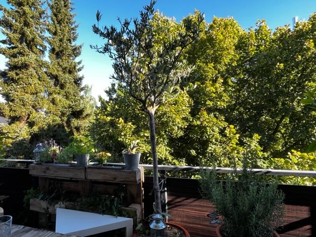 Etagenwohnung Regensburg Das Dörnberg - 2.5 Zimmer, 74 m&sup2;, 439.000&euro; | Angebot:8791199