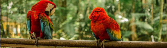 Tiergarten Regensburg