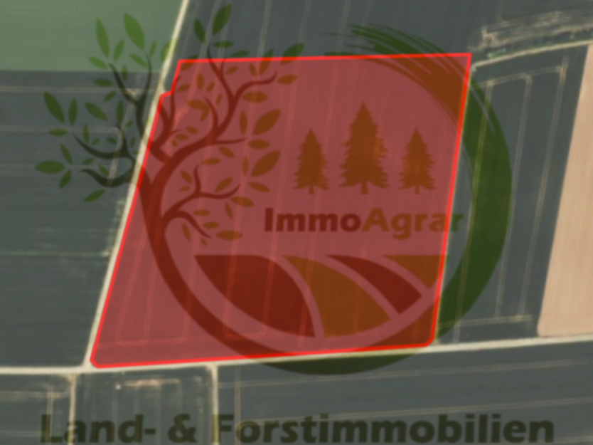 Grundstück in Aufhausen 139.900 € 45000 m²