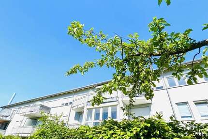 Wohnung zum Kaufen in Regensburg 249.000 € 56 m²
