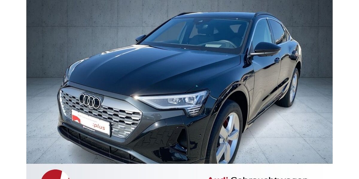 Audi Q8 e-tron 1.275 km 66.770 &euro; Saal a.d. Donau 93342