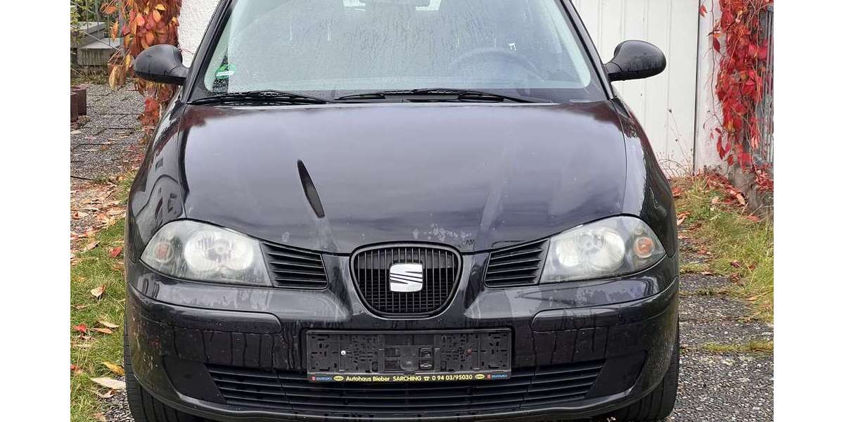 Seat Ibiza 166.042 km 700 &euro; Regensburg 93055