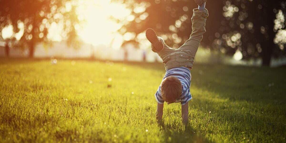 ***Exklusives Grundstück im Herzen von Kumpfmühl*** zimmer