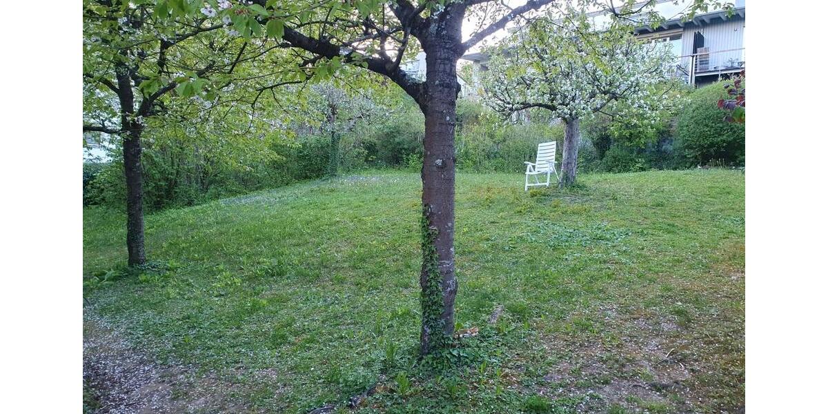 Etagenwohnung Regensburg Galgenberg - 3 Zimmer, 79 m&sup2;, 389.000&euro; | Angebot:26476284
