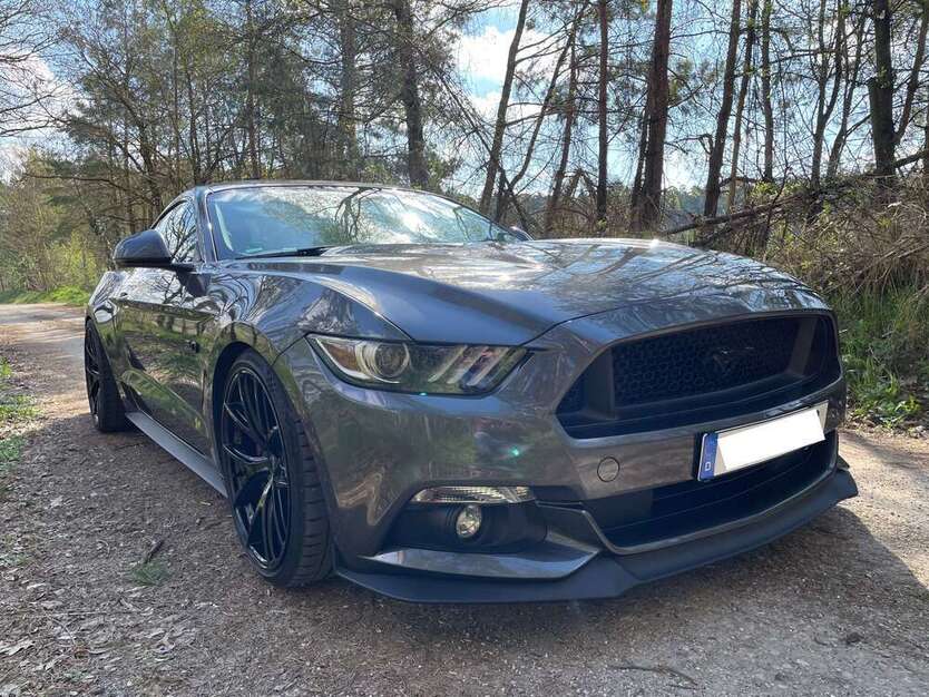 Mustang