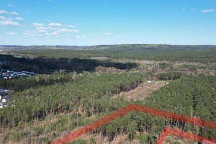 Grundstück Nittenau - 835.000&euro; | Angebot:26300535