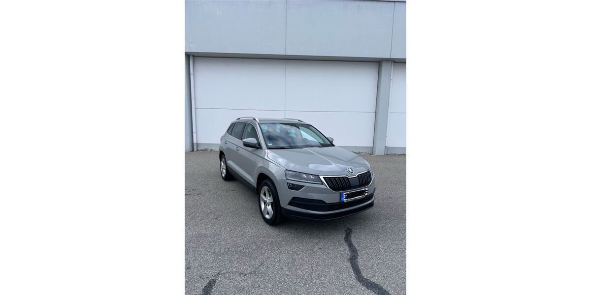 Skoda Karoq 118.000 km 17.100 &euro; Regensburg 93059