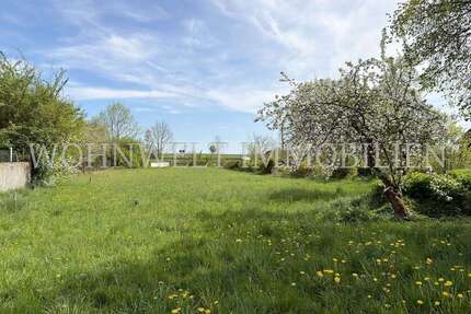 Grundstück Geiselhöring / Sallach Sallach - 300.000&euro; | Angebot:26695003