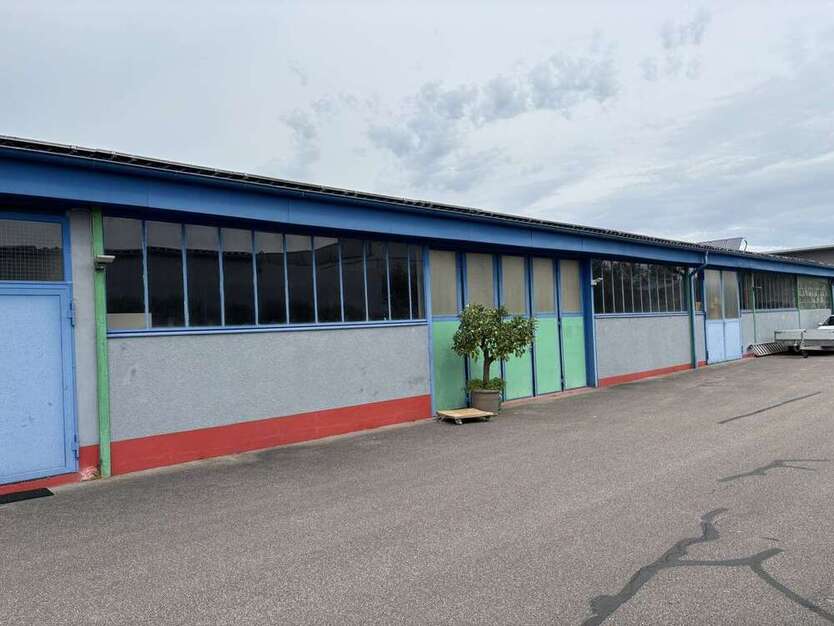 Halle in Regenstauf 1.650 € 326 m²