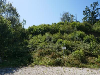 RUHE PUR! NATURPARADIES AM ORTSRAND - Grundstück Regenstauf | Angebot:26421184