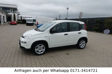 Fiat Panda 56.000 km 9.990 &euro; Abensberg 93326