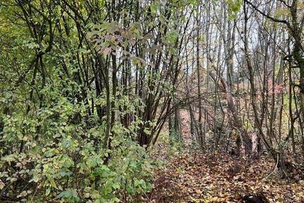 Seltene Gelegenheit: Letztes, unbebautes Villengrundstück am Sallerner Berg in der Riesengebirgstraße zimmer