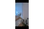 Etagenwohnung Lappersdorf - 3 Zimmer, 69 m&sup2;, 1.230&euro; | Angebot:26409159