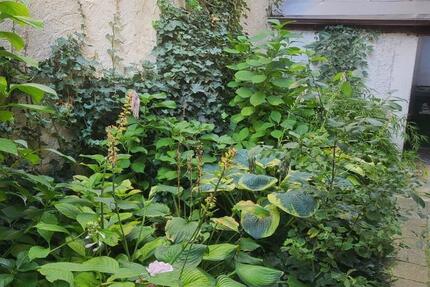 Haus Regensburg Das Dörnberg - 3.550.000&euro; | Angebot:22699081