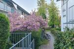 Etagenwohnung Regensburg Galgenberg - 3 Zimmer, 79 m&sup2;, 389.000&euro; | Angebot:26476284