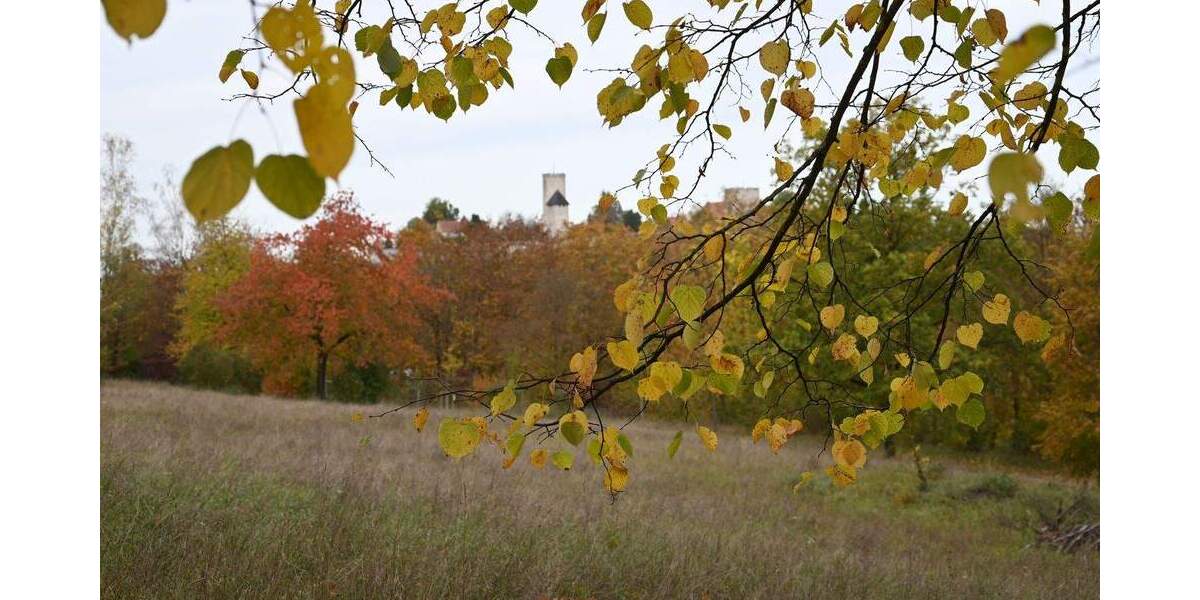 Etagenwohnung Burglengenfeld Wölland - 2 Zimmer, 75 m&sup2;, 930&euro; | Angebot:26204217