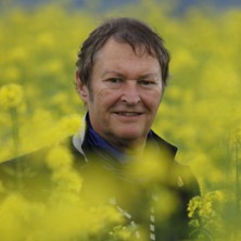 Haindling - Sommerkonzert 05.07.2026 das Stadtwerk.Donau-Arena