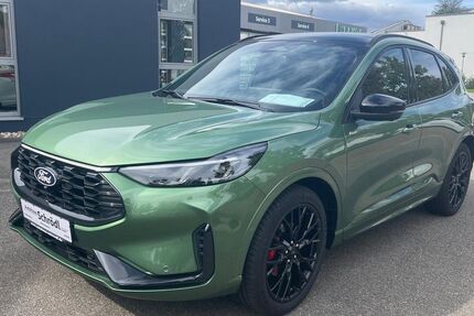 Ford Kuga 15.000 km 35.990 &euro; Schönhofen und Neutraubling 93152