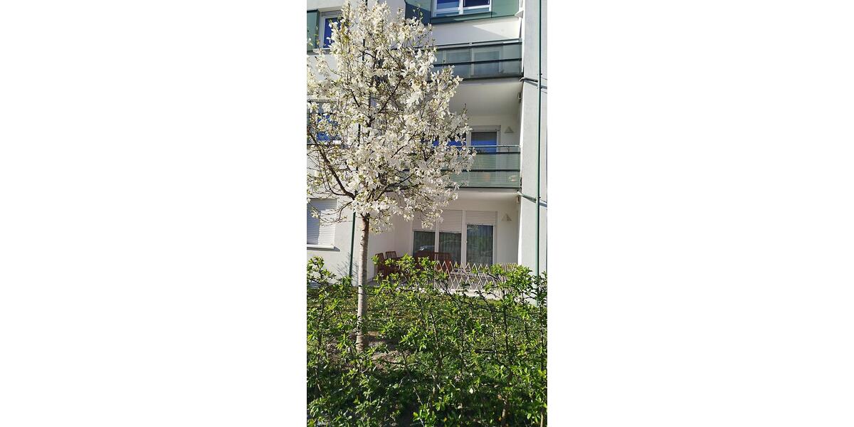 Erdgeschoßwohnung Regensburg Galgenberg - 1.5 Zimmer, 52 m&sup2;, 320.000&euro; | Angebot:27120208