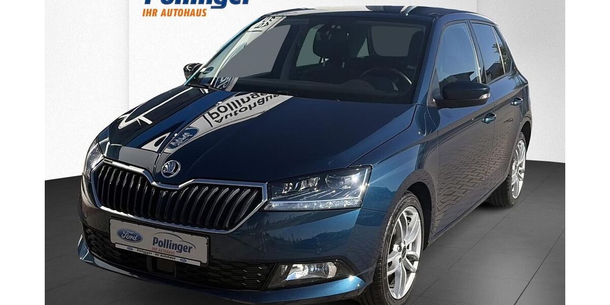Skoda Fabia 53.000 km 12.900 &euro; Hemau 93155